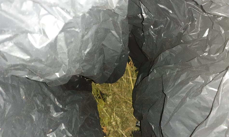 Záchyt konopí a kokainu